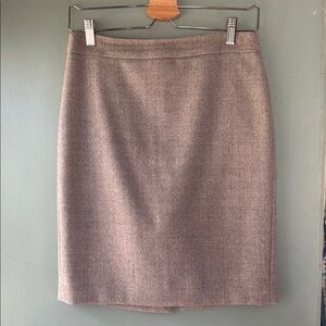 Elegant Gray Women's Skirt